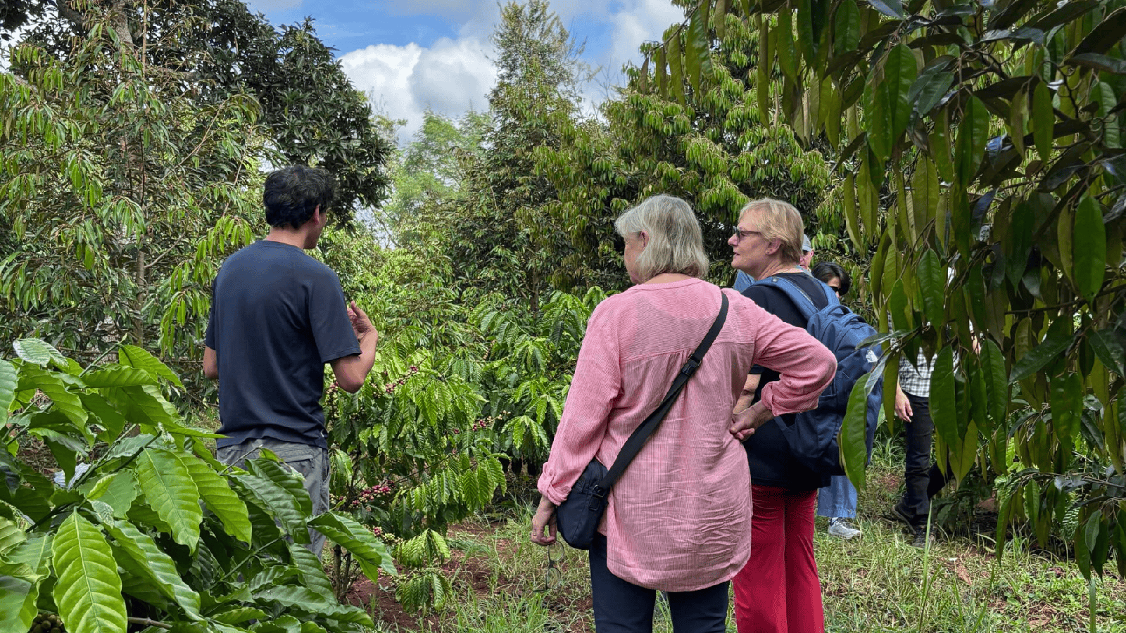 Tour Vườn Cà Phê Đắk Lắk – Hương Vị Tây Nguyên (2)